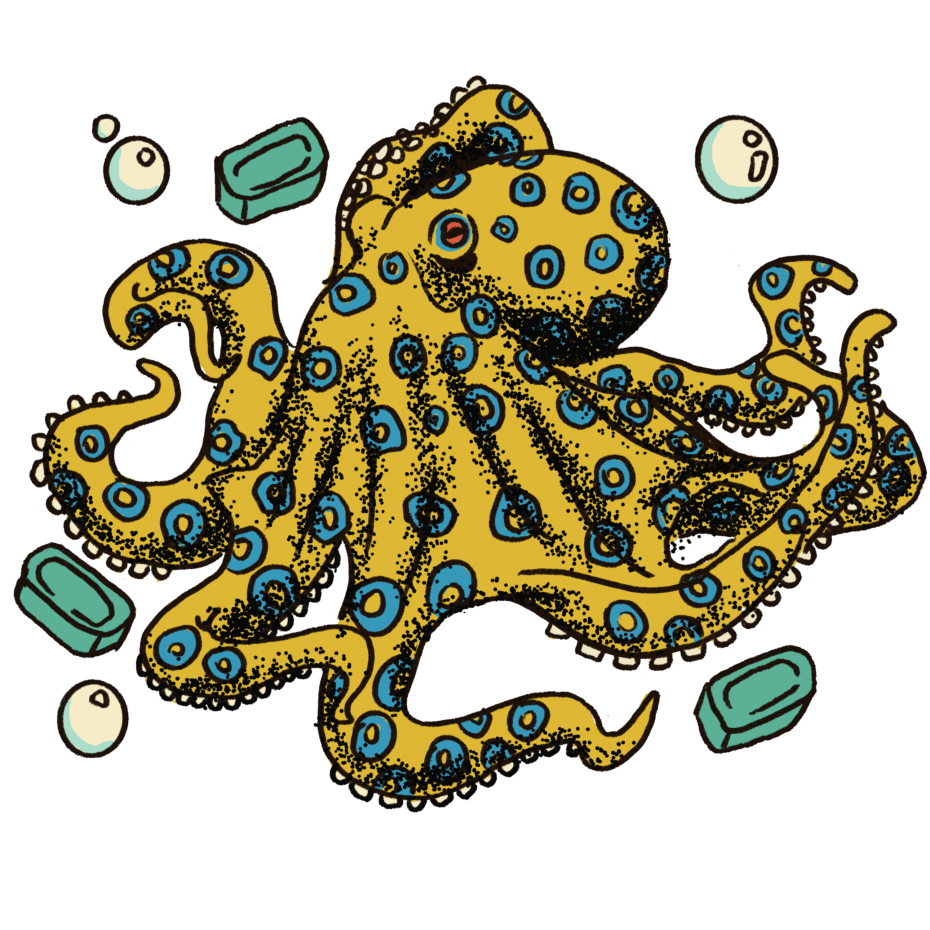 CHEAPYXO Octopus